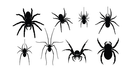 A collection of black spider silhouettes displayed on a pure white background