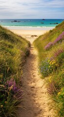 Coastal pathway amidst dunes showcasing vibrant wildflowers leading to tranquil ocean waters