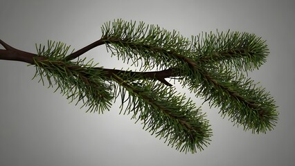 christmas tree branch