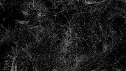 Fototapeta premium Hair texture background in black color. Abstract texture background of cutting hair. Black hair, female, abstraction, tangle, mystery, dark gray concept for display, graphic resource, poster, texture.