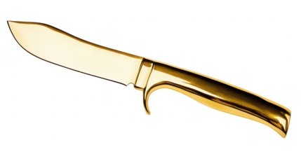 A sleek. golden knife with a polished blade and an elegant handle. displayed on a clean white background. its craftsmanship and design. ideal for culinary or decorative use