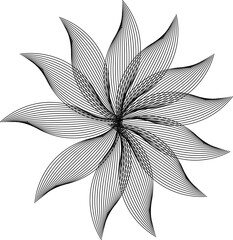 black and white flower