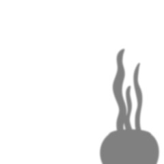 Shadow of sansivera on the pot, transparent overlay