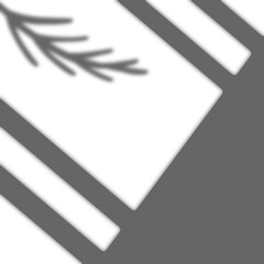 Shadow of leaves and window at blank wall, transparent overlay