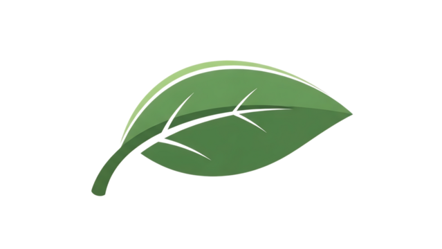 Green leaf vector illustration with veins isolated on transparent background