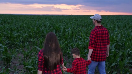 mother father child holding hands, happy people man woman child, Farming family at twilight, Calm and together, Small boy discovers nature, Parents support on each side, A new day is promised, Loving