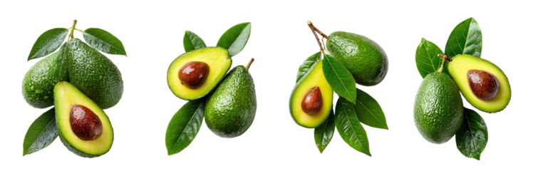 Four ripe avocados with green leaves and stems whole and halved isolated on transparent background