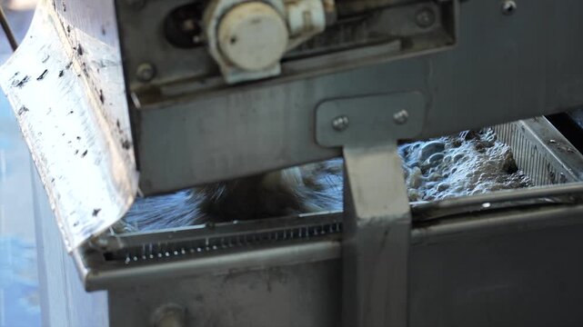 Oyster wash rinse discharge water flowing quickly at a commercial oyster farm in Australia