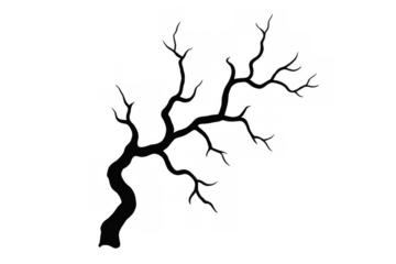 Bare tree silhouette design with twisted branches, spooky halloween graphic element on transparent background