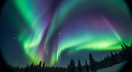Vibrant aurora borealis dances above snowy trees under a starry sky.