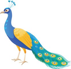 a colorful cartoon illustration of a majestic peacock standing gracefully displaying plumage