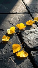 Yellow ginkgo leaves on stone tiles