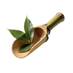 Bamboo scoop with green leaves on white background  