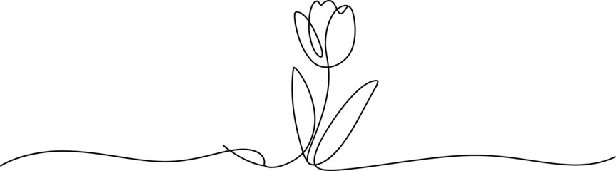 Obraz premium Minimalist continuous line drawing of a simple tulip flower with stem and leaves on a clean white background