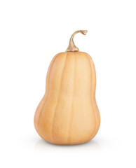 beautiful butternut squash is isolated on a transparent background