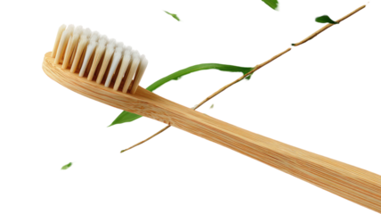 bamboo toothbrush with bamboo leaves branch isolated on white background