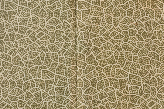full-frame close-up of vintage decorative paper, dark olive green with abstract crackle pattern, old book endpaper texture with vertical crease, antique book cover lining background