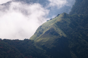 Mountain ridge rises through swirling clouds in Horton Plains, shot from above, revealing sun-lit grasslands merging into dense forest in a highland wilderness