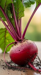 Fresh beetroot with green leaves rests on a wooden surface.