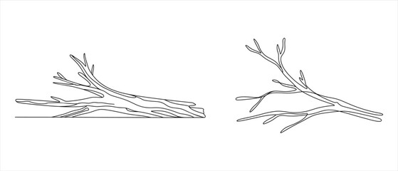 Fototapeta premium Twig Branches Isolated on White Background