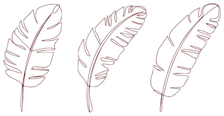 Minimalist Line Art of Three Banana Leaves on White Background