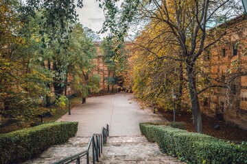 Stone Steps and Autumn Trees in the Gardens of Monasterio de Piedra