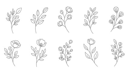 Elegant botanical line art collection featuring floral elements and greenery designs