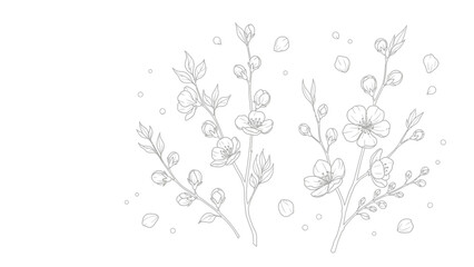 Elegant Floral Line Art Design with Cherry Blossoms for Wallpaper or Invitation Design