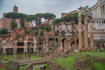 Fototapeta premium the forum of ancient Rome along with adjacent buildings