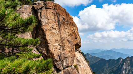 Cliff Pine Tree Natural Landscape Photography