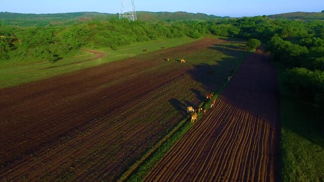 Aerial Agricultural Machinery Operating in Plowed Farmland Fields