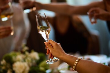 Hands Raising Glasses at Party Celebration
