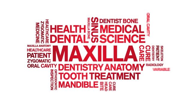 Maxilla animated word cloud-text design animation tag kinetic typography seamless loop.