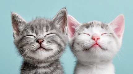 Two adorable kittens with eyes closed, enjoying a moment of peace and tranquility