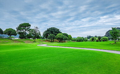 Obraz premium Beautiful green grass field with trees and karst mountain landscape.