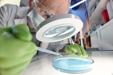 Senior Caucasian man wearing lab coat and mask examining petri dish with blue liquid using magnifying glass and pipette, conducting scientific research in laboratory setting