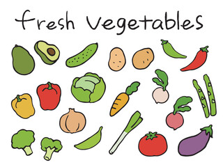 野菜のイラスト　手描き風