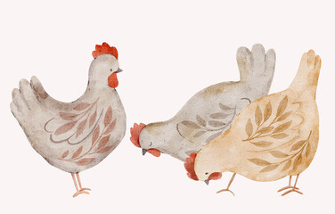 Watercolor chickens on farm with rustic floral style. Hand painted hens illustration for country designs and children decor.