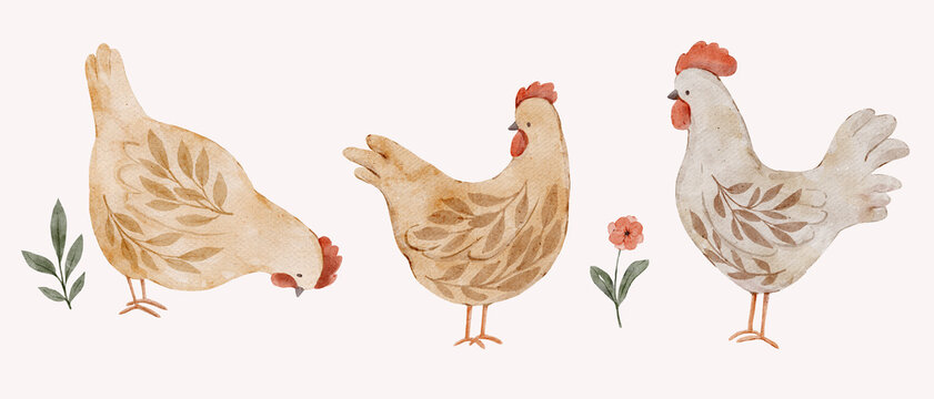 Watercolor chickens with wild flowers in soft rustic style. Hand painted farm animals for nursery and country home decor.