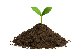 Fototapeta premium Sprout growing in dark soil, symbolizing new life, sustainable growth, cultivation, and environmental care on transparent background