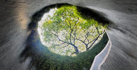 Fort Canning Tree Tunnel