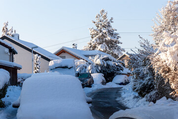 Parked cars on a snowy street under heavy snow-covered trees during a sunny winter morning