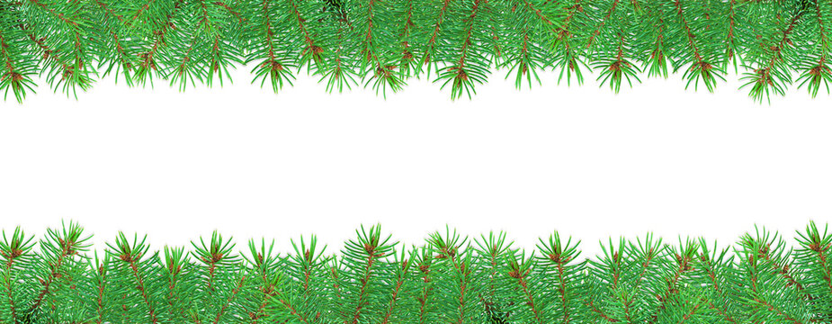 Green border of green festive branches on a white background perfect for winter holiday greeting cards, posters, or festive design projects