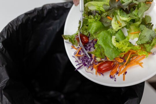 Close up of women discarding fresh vegetable salad into trash bin. Concept for food waste, diet rejection, meal dissatisfaction, eating disorder behavior or sustainability issue. - Powered by Adobe