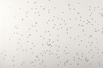 Abstract background with little stars glitter confetti. Festive background for text or object,...