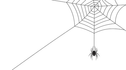 Fototapeta premium A minimalist black and white illustration of a spiderweb with a small spider, isolated on white background