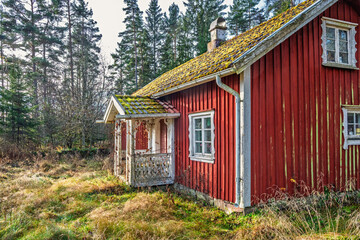 Old red wooden cottage in the woods with an overgrown garden © Lars Johansson