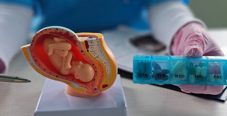 The doctor demonstrates fetal model and medication pill organizer during prenatal care consultation concept