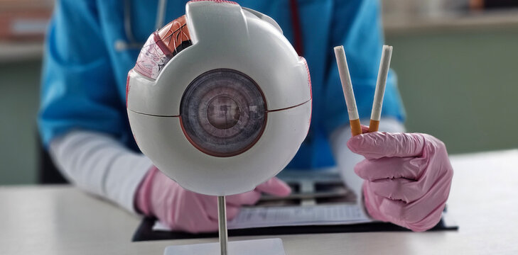 Doctor eye anatomy cigarette. Does smoking affect vision. Damage to blood vessels from nicotine concept