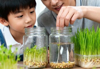 Asian father and child observing vibrant green sprouts growing in glass jars, engaging in a plant science lesson.